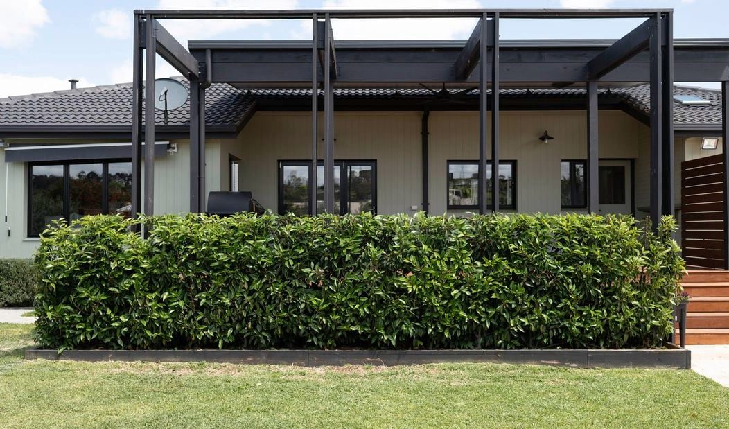 Modernes Haus mit verglaster Terrasse und grünem Busch vor der Fassade.